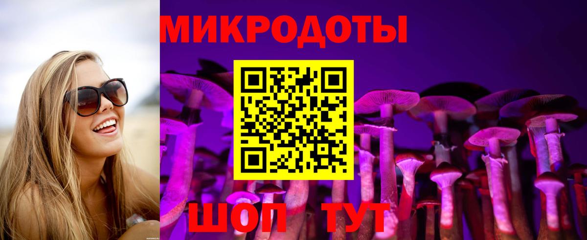 закладки  Галлюциногенные грибы мицелий  Вход с VPN  Рассказово 